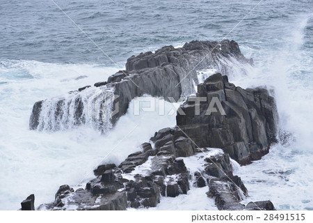 [Fukui Prefecture] Tojinbo and Anami in winter 28491515