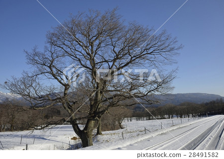 Onikobe's snow scene · Naruko Onsen Onikobe (Miyagi Prefecture) 28491582