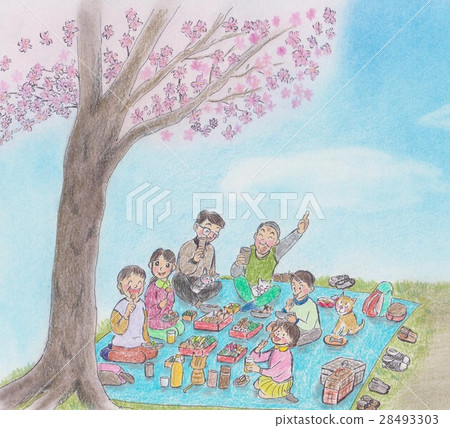 Cherry blossom viewing with family 28493303