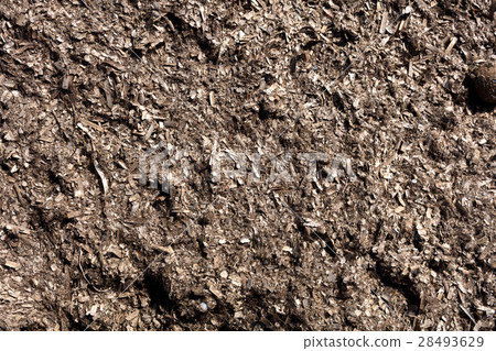 posidonia texture 28493629