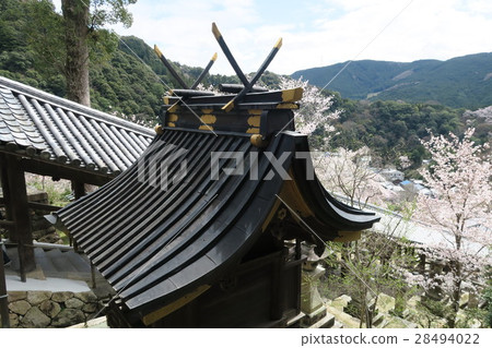 Spring Hase-dera - Entrance ~ 28494022