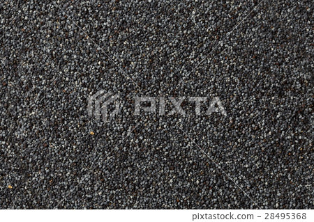 poppy seeds background poppy seeds background 28495368