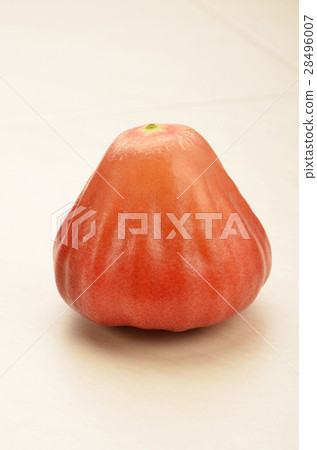 Red rose apple 28496007