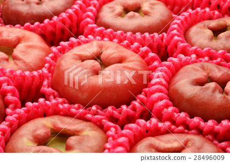 Red rose apple 28496009