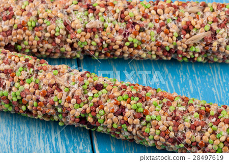 food for parrots on a stick blue wooden background 28497619