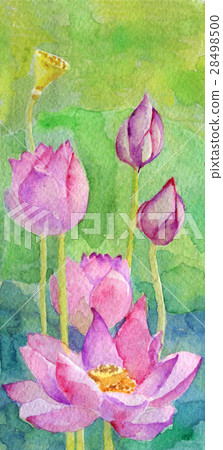 Watercolor Sketch Of Lotus Flower Stock Illustration