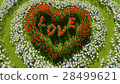 A variety of flowers in the shape of a heart 28499621
