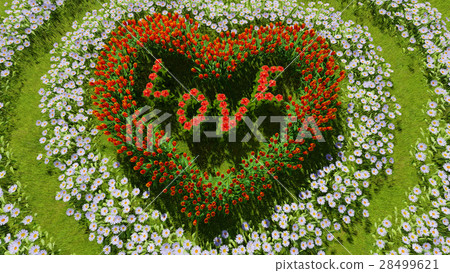 A variety of flowers in the shape of a heart A variety of flowers in the shape of a heart 28499621