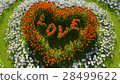A variety of flowers in the shape of a heart 28499622