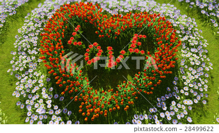 A variety of flowers in the shape of a heart 28499622