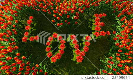A variety of flowers in the shape of a heart 28499624