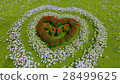 A variety of flowers in the shape of a heart 28499625
