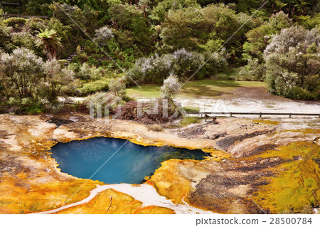 Orakei Korako geotermal valley 28500784