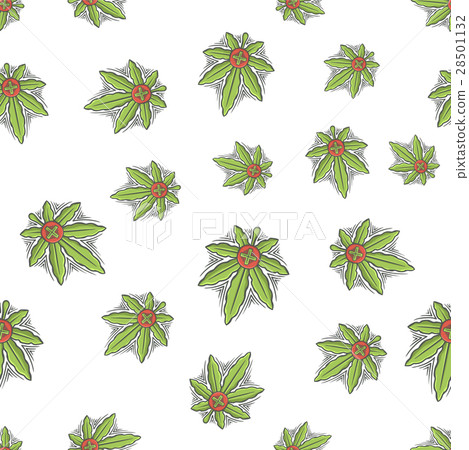 Seamless Texture Medical Marijuana Six 28501132