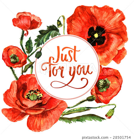Wildflower poppy flower frame in a watercolor 28501754