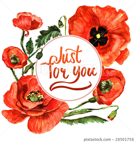 Wildflower poppy flower frame in a watercolor - Stock Illustration ...