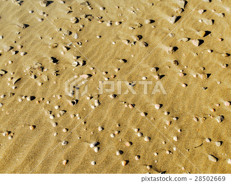 Atlit Coast Day view Gold Sand, North Israel Atlit Coast Day view Gold Sand, North Israel 28502669