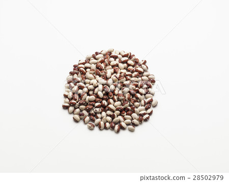 Round bean mountain (Hokkaido produced tiger bean) 28502979