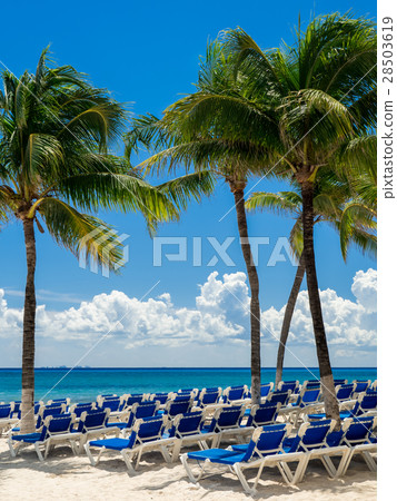 普拉亞德爾卡門墨西哥 28503619