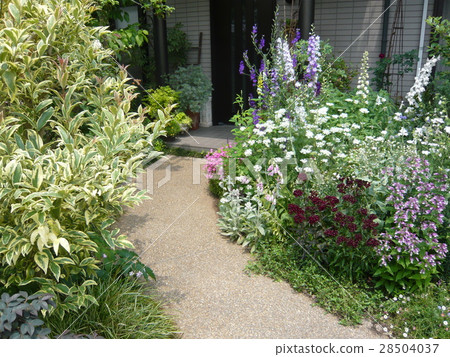 English garden approach 28504037