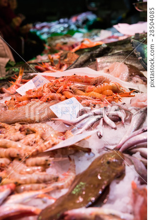 Boqueria Market (Spain - Barcelona) 28504085