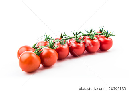  Mini Tomato 28506183