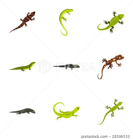 Iguana icons set, flat style Iguana icons set, flat style 28506533