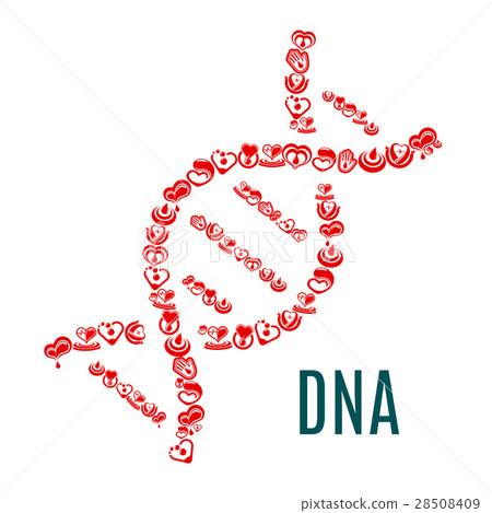 DNA symbol of vector hearts and blood 28508409