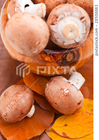 Mushrooms: Champignons mushroons 28508863