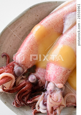 博伊爾魷魚 28508961