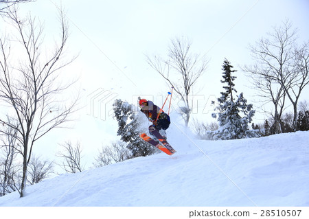 Powder skiing Powder skiing 28510507