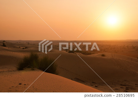 thar desert of rajasthan, india thar desert of rajasthan, india 28510695