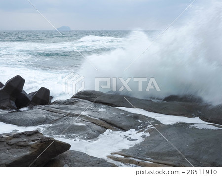 Nasal Head Coast Nasal Head Coast 28511910