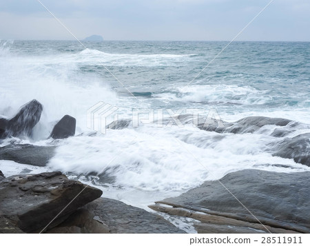 Nasal Head Coast 28511911