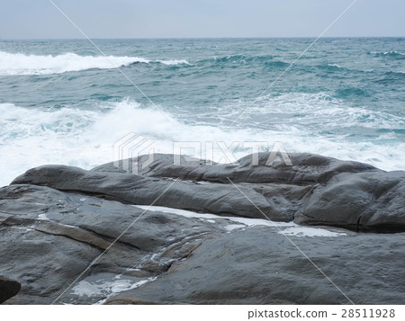 Nasal Head Coast Nasal Head Coast 28511928