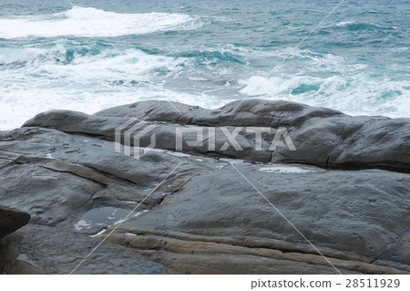 Nasal Head Coast 28511929