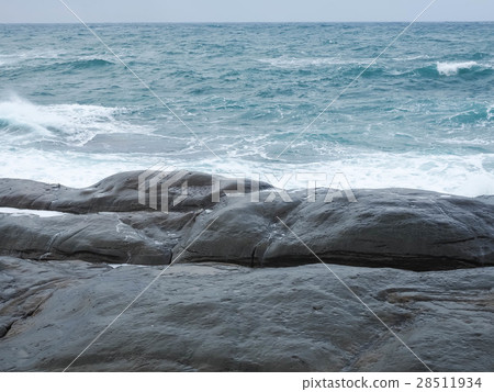 Nasal Head Coast Nasal Head Coast 28511934