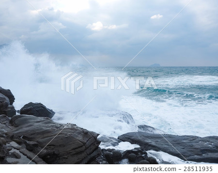 Nasal Head Coast Nasal Head Coast 28511935