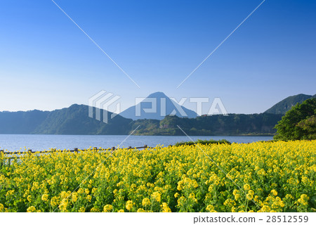 強姦湖的池田湖和Kaidomi山 強姦湖的池田湖和Kaidomi山 28512559