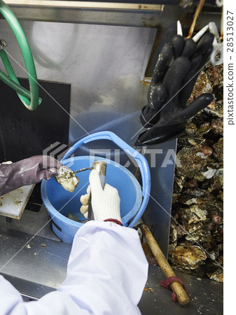 牡蠣射擊經驗 28513027