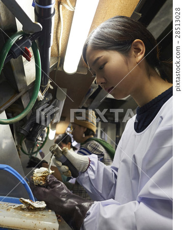 牡蠣射擊經驗 牡蠣射擊經驗 28513028