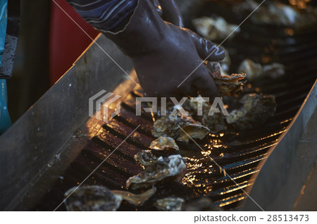 Hiroshima Marine Processing Factory Oyster Work Hiroshima Marine Processing Factory Oyster Work 28513473