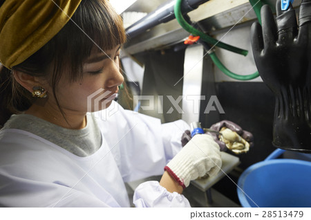 Oyster shot experience Oyster shot experience 28513479