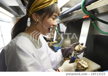 牡蠣射擊經驗 牡蠣射擊經驗 28513525