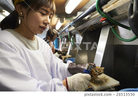 牡蠣射擊經驗 28513530