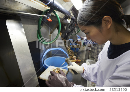 Oyster shot experience Oyster shot experience 28513590