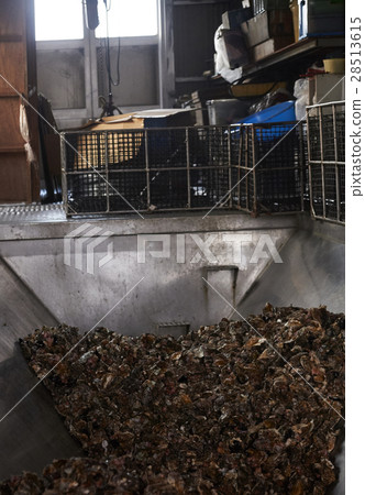 廣島海洋加工廠牡蠣工作 28513615