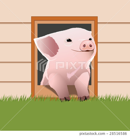 Piglet come out from the pet door 28516586
