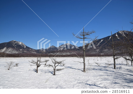 Winter in Senggahara 28516911