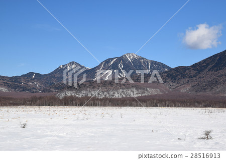 Winter in Senggahara 28516913